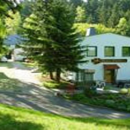 Pension Waldidyll Stutzerbach Bagian luar foto