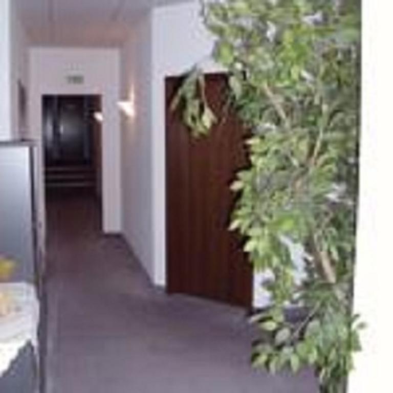 Pension Waldidyll Stutzerbach Bagian luar foto