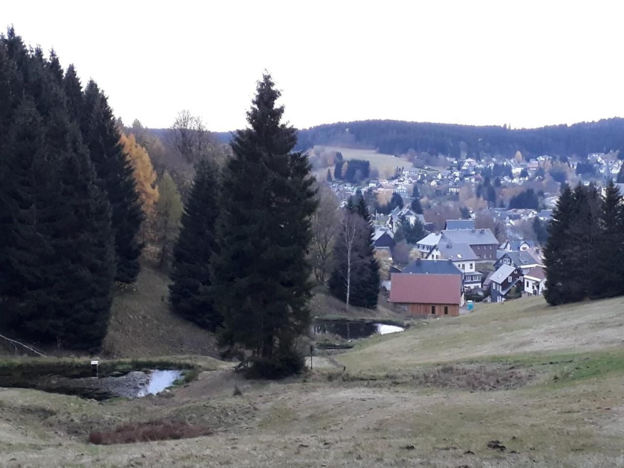 Pension Waldidyll Stutzerbach Bagian luar foto