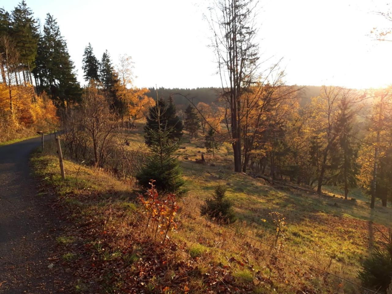 Pension Waldidyll Stutzerbach Bagian luar foto