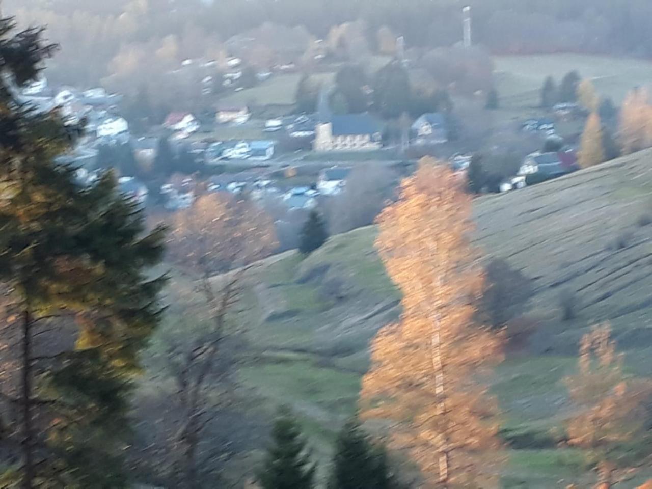 Pension Waldidyll Stutzerbach Bagian luar foto