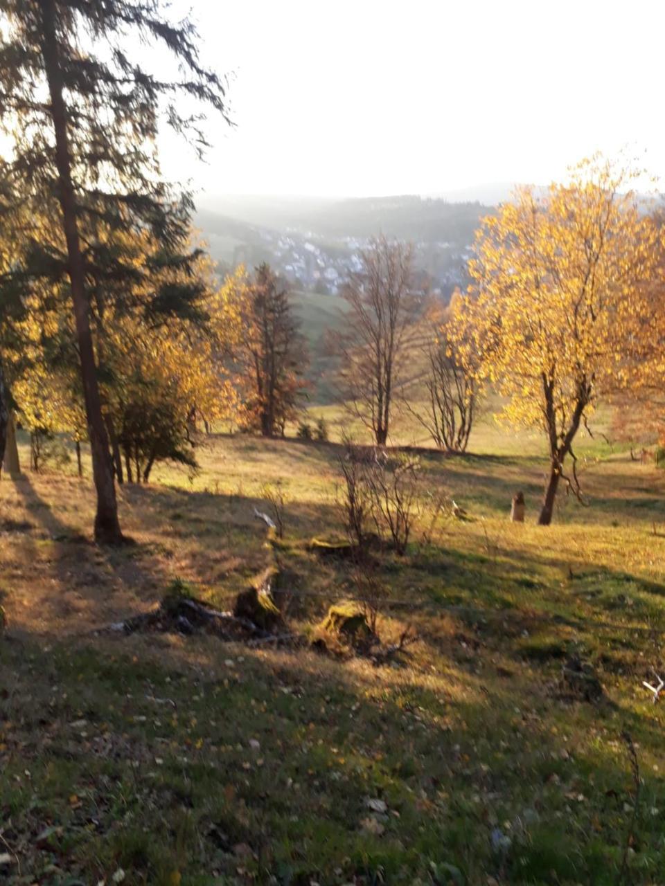 Pension Waldidyll Stutzerbach Bagian luar foto