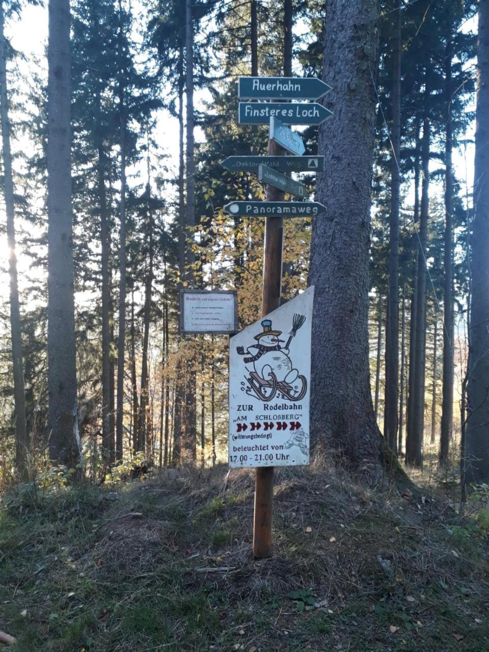Pension Waldidyll Stutzerbach Bagian luar foto